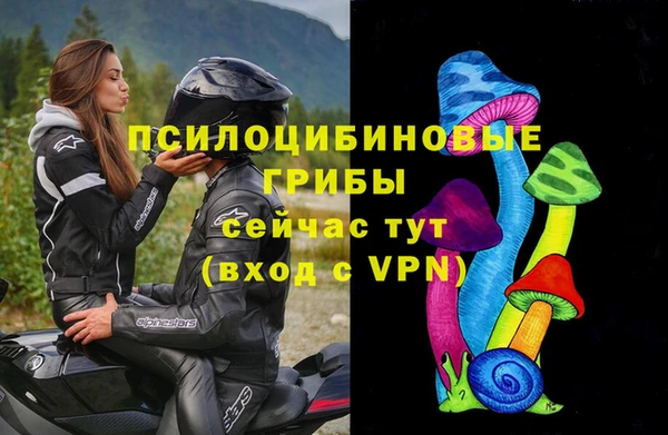 тгк Гусиноозёрск