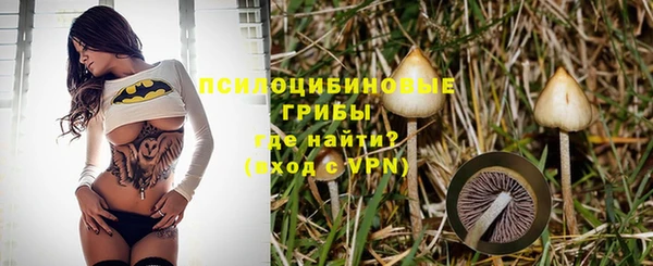МДМА Гусев