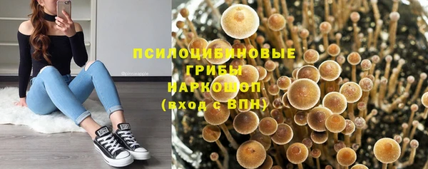 тгк Гусиноозёрск