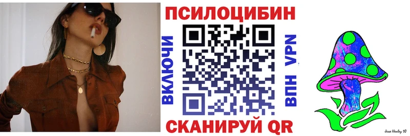 Псилоцибиновые грибы ЛСД  Купить где  Злынка 